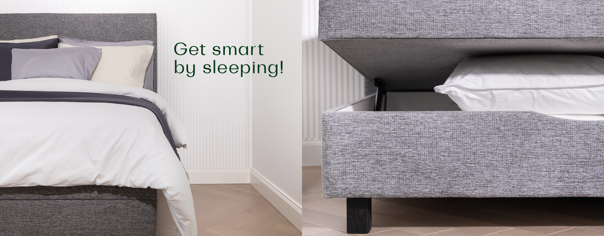 Get smart by sleeping!