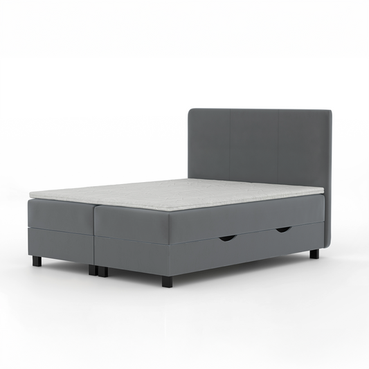 Panipaigaga voodi Torm 160x200